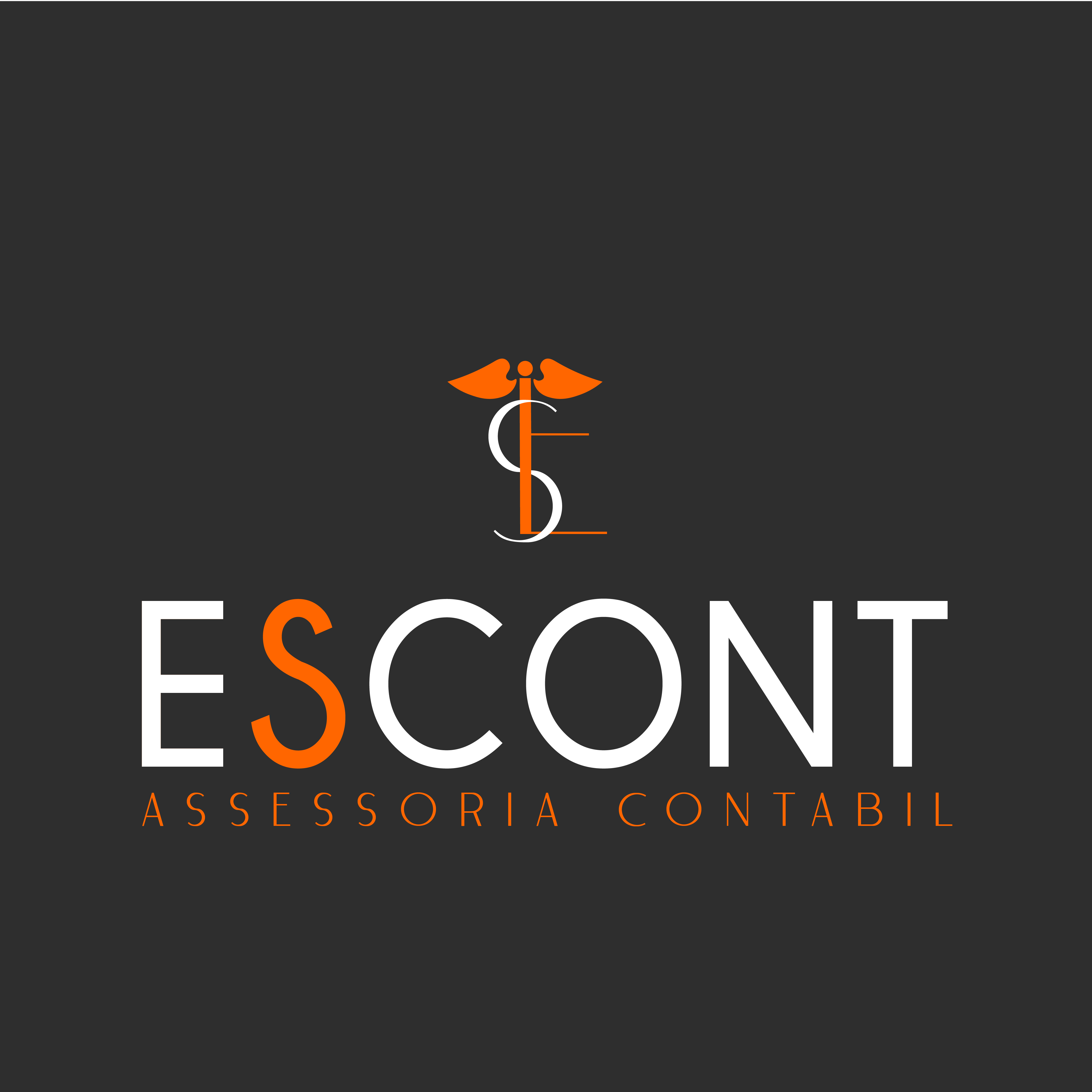 IDV ESCONT _Prancheta 1-02.jpg